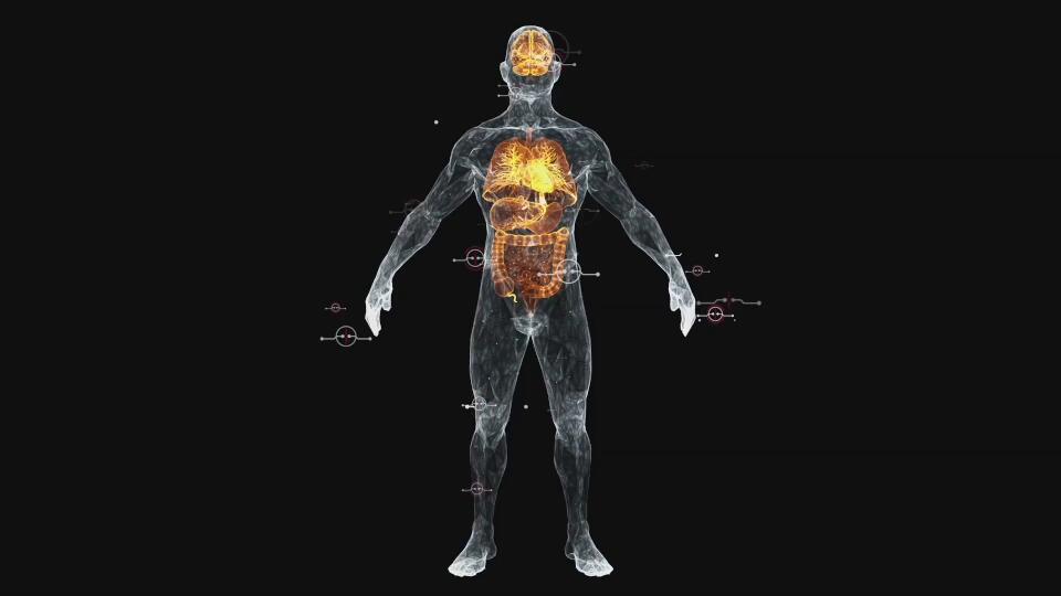 YOUR CELLS EXPLAINED